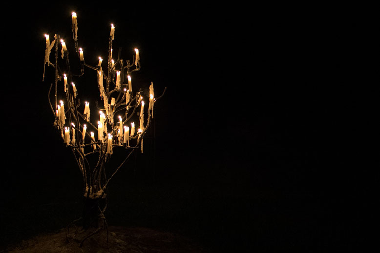 Glorious Gluttony: Flames of the Forest Aboriginal Dining Experience
