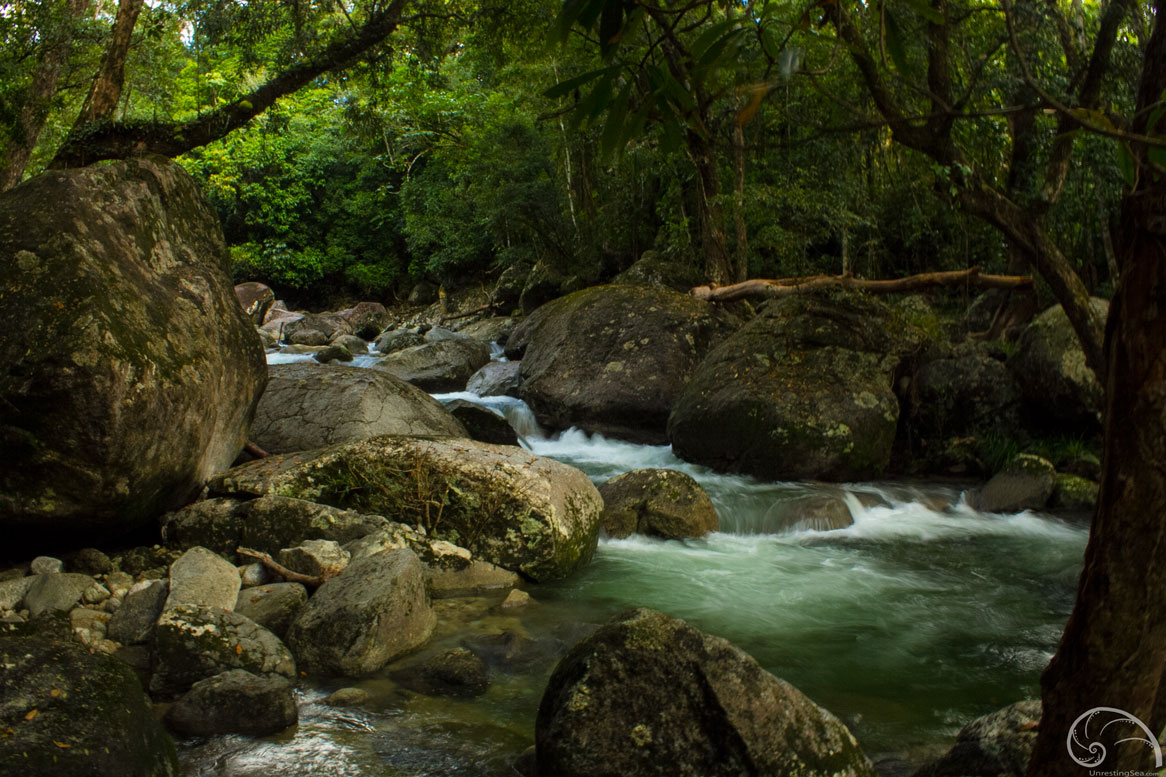 An Aboriginal Dreamtime Walkabout Tour in the Daintree
