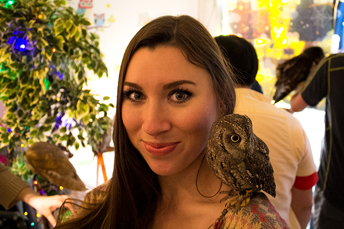 Travel blogger Amanda with an owl on her shoulder at a Japanese owl cafe.