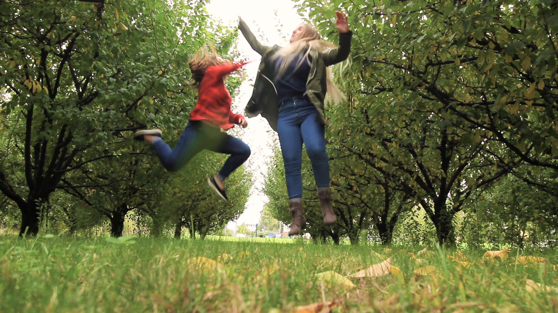 Michigan Fall Cider Crawl: Your Guide to Visiting 11 Southeast Michigan Cider Mills in a Day